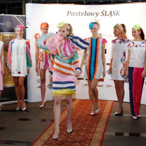 Aukcja charytatywna "Pastelowy Śląsk", 2013 r. - dla dzieci z domu dziecka Zakątek Katowice - organizacja